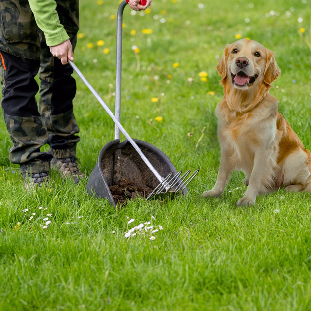 Poop scoop Melbourne FL Poop scooping Brevard county